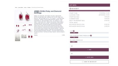 A timed auction catalogue with countdowns per lot