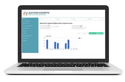 The Manager dashboard showing auctions, lots and bidder activity
